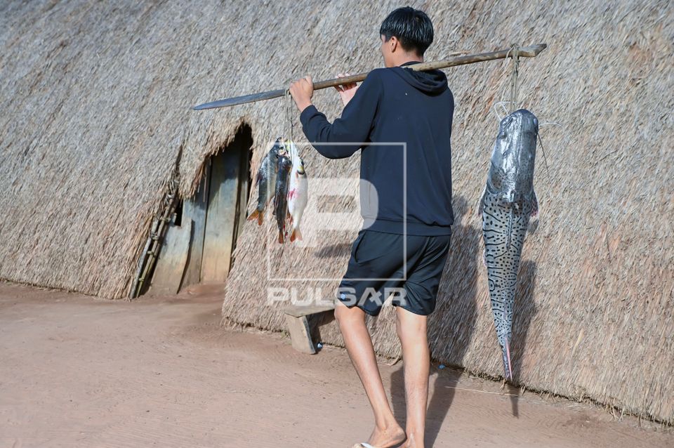 Indígena Waurá da aldeia Topepeweke chegando em casa com peixes para a família - Parque Indígena do Xingu