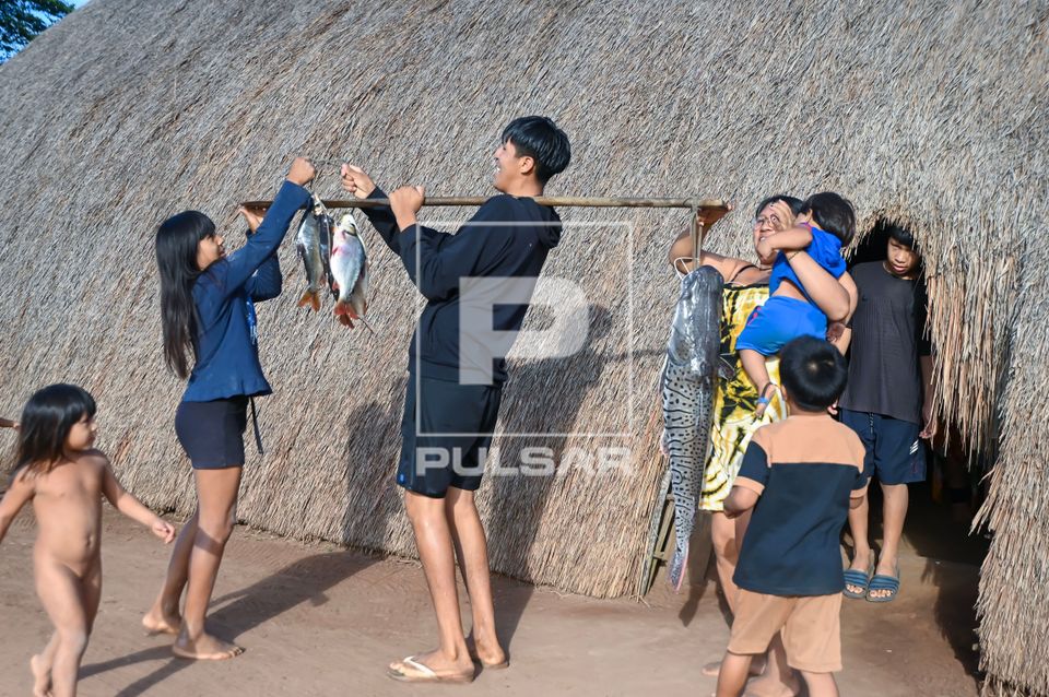 Indígena Waurá da aldeia Topepeweke distribuindo peixes para a família - Parque Indígena do Xingu