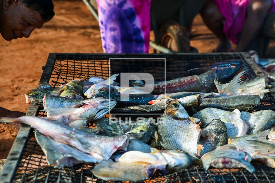 Peixe sendo moqueado na aldeia Piyulaga da etnia Waurá - Parque Indígena do Xingu