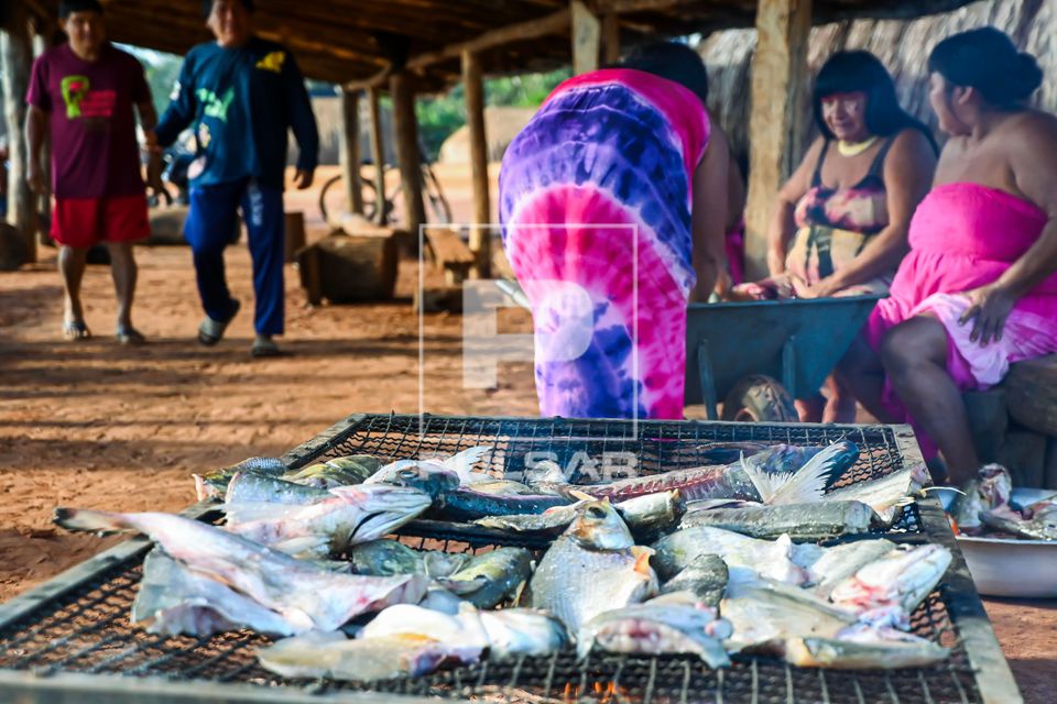 Peixe sendo moqueado na aldeia Piyulaga da etnia Waurá - Parque Indígena do Xingu