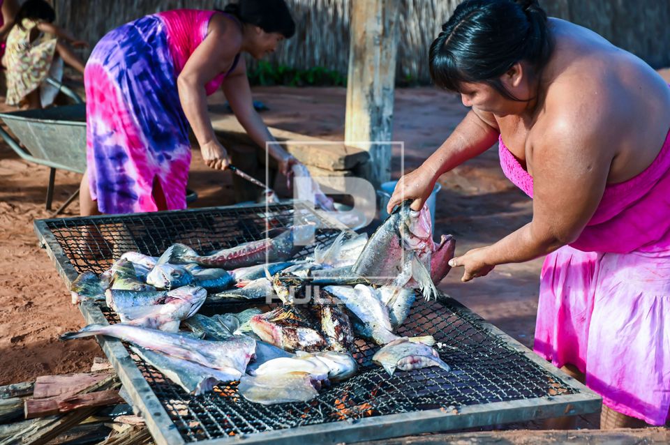 Peixe sendo moqueado na aldeia Piyulaga da etnia Waurá - Parque Indígena do Xingu