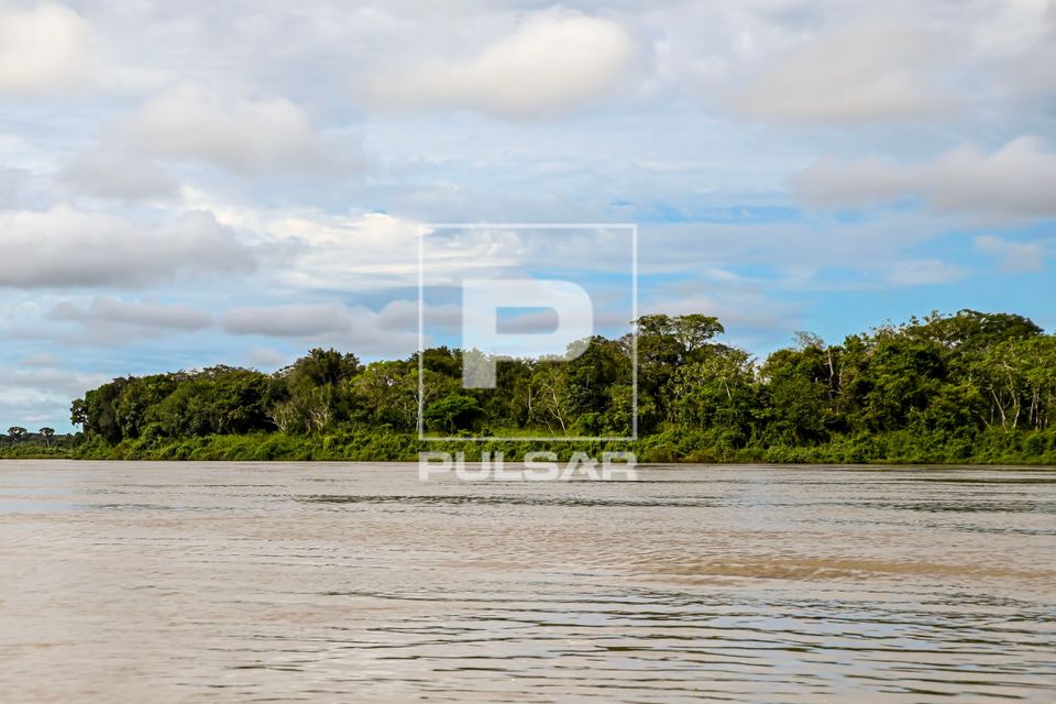 Mata ciliar na margem do Rio Culuene - Parque Indígena do Xingu