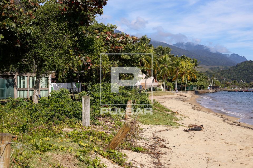 Jundu - vegetação de restinga nativa na orla da Praia do Perequê