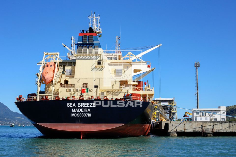 Navio graneleiro atracado no porto da cidade - Canal de São Sebastião