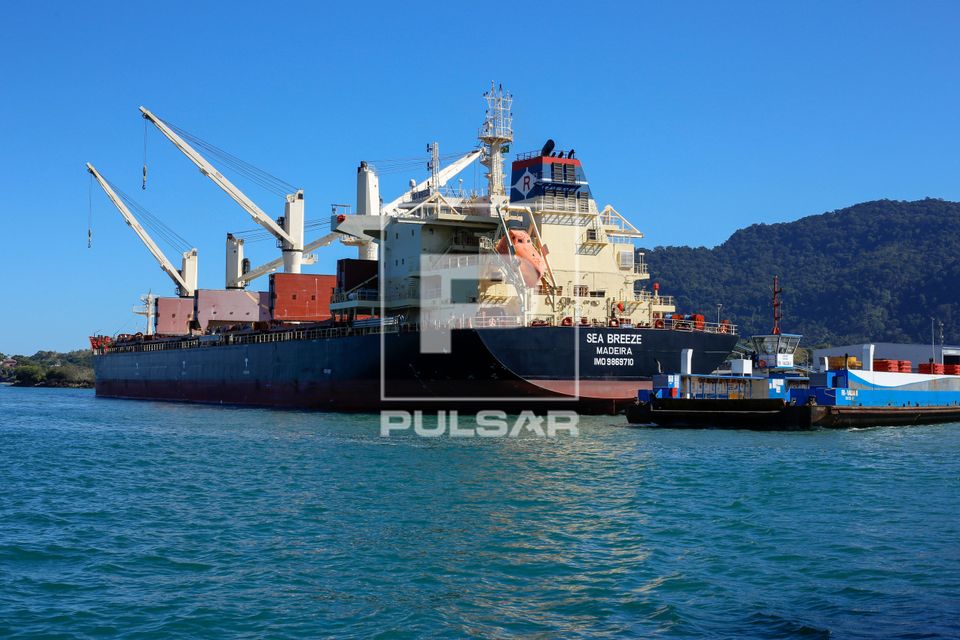 Navio graneleiro atracado no Porto e balsa com passageiros e veículos - travessia entre São Sebastião e Ilh