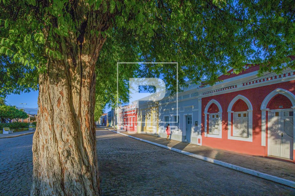 Casario colonial do centro da cidade - tamarineira no primeiro plano