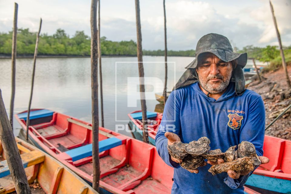 Indígena Potiguar mostrando ostras coletadas no manguezal na Aldeia Jaraguá 