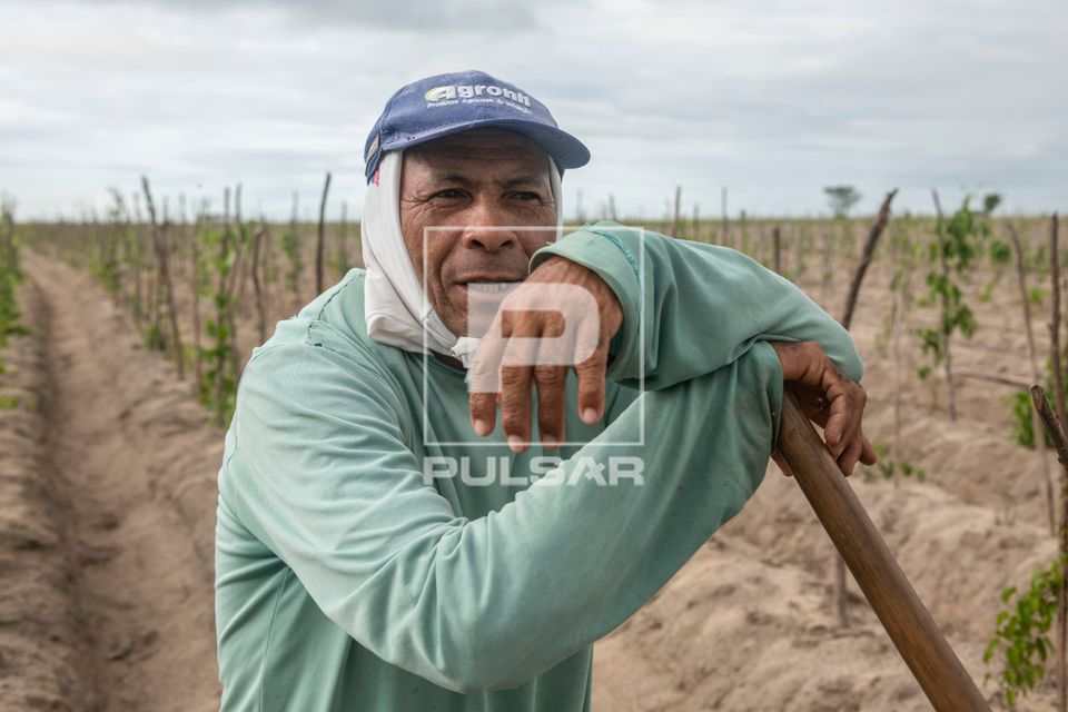 Indígena da Aldeia Três Rios da etnia Potiguar em plantação de inhame