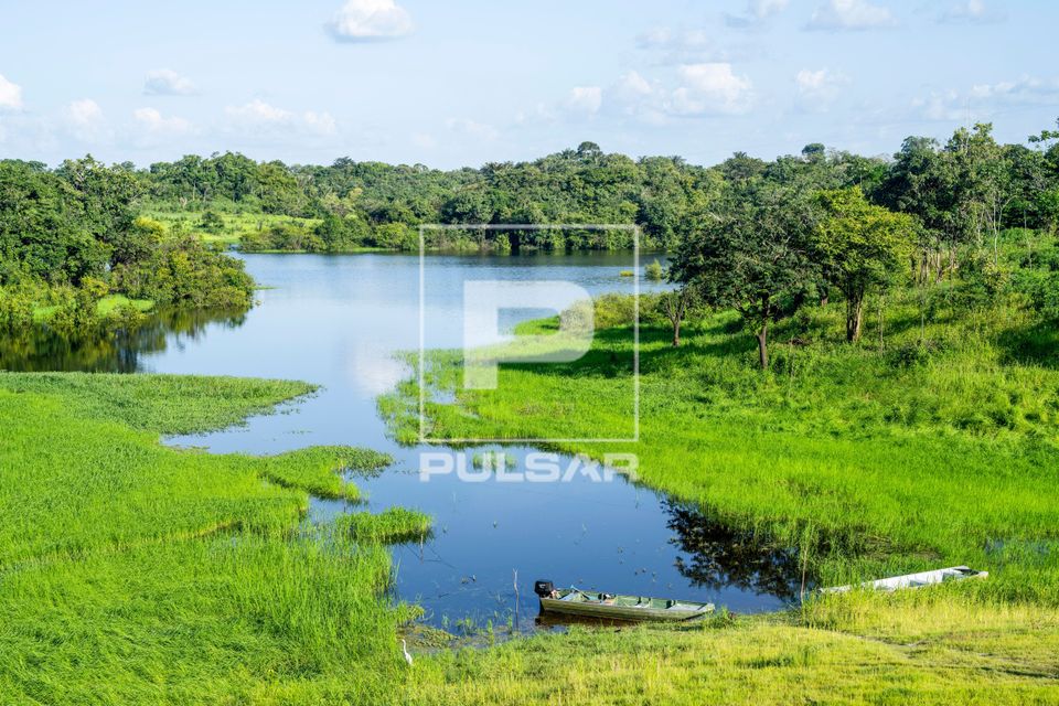 Braço do Paraná do Mira