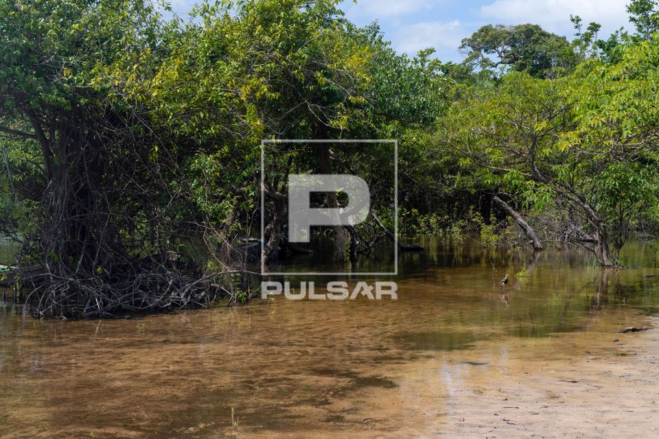 Floresta amazônica e Igarapé de Jamaraquá - FLONA Floresta Nacional do Tapajós
