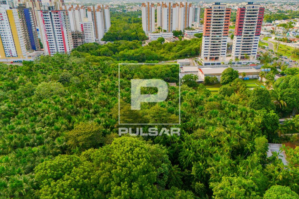 Vista de drone de edifícios residenciais no bairro Aleixo avançando sobre áreas verdes