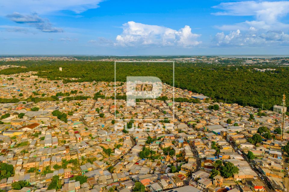 Vista de drone de moadias populares do bairro Coroado e fragmento de floresta preservada da Universidade Feder