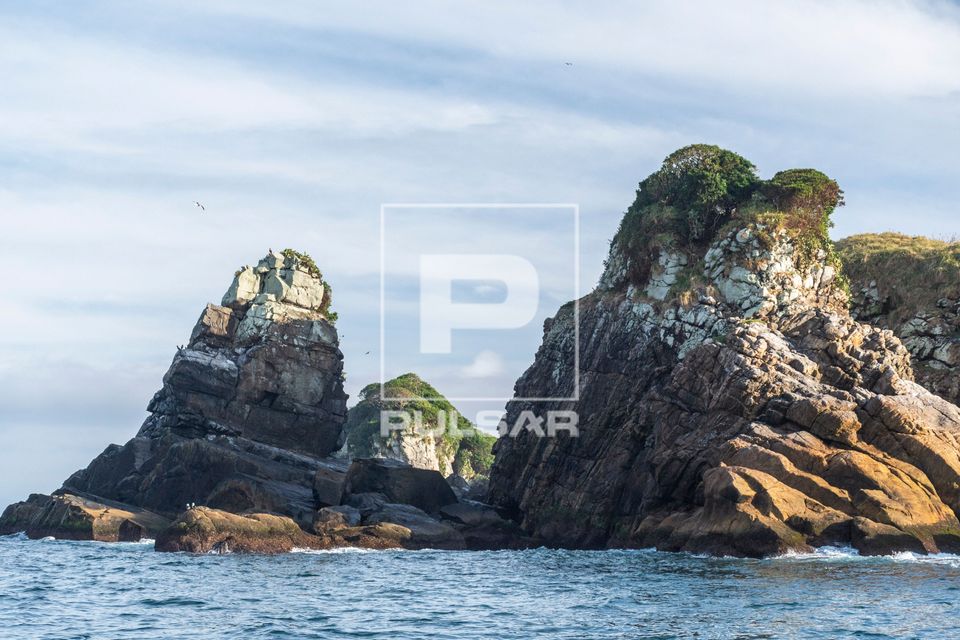 Ilha Três Picos - Parque Nacional Marinho das Ilhas dos Currais - bioma marinho costeiro