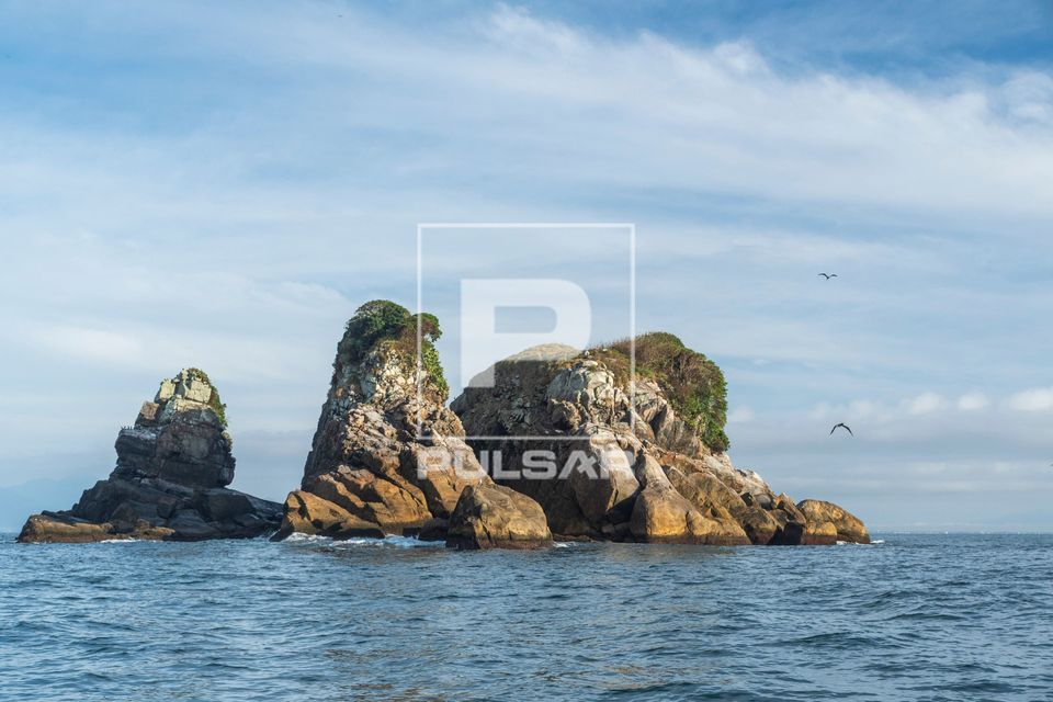 Ilha Três Picos - Parque Nacional Marinho das Ilhas dos Currais - bioma marinho costeiro