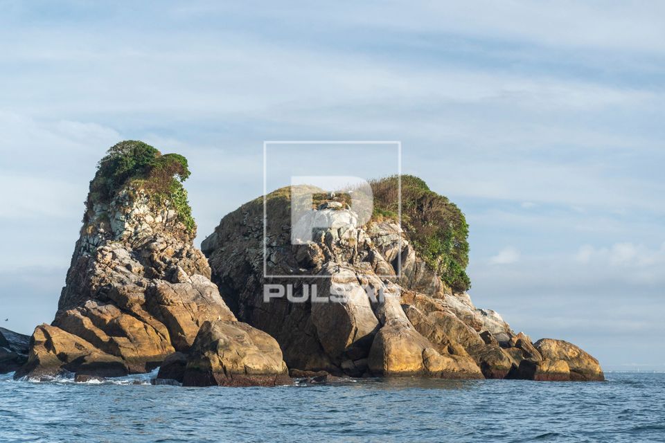 Ilha Três Picos - Parque Nacional Marinho das Ilhas dos Currais - bioma marinho costeiro