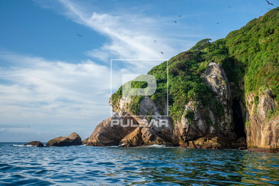Ilha Grapirá - Parque Nacional Marinho das Ilhas dos Currais - bioma marinho costeiro