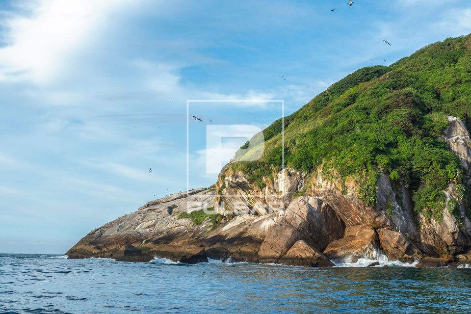 Ilha Grapirá - Parque Nacional Marinho das Ilhas dos Currais - bioma marinho costeiro