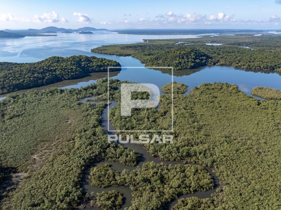 Vista de drone do manguezal da RPPN Reserva Ecológica do Sebuí ou RPPN Reserva Particular do Patrimônio Nat