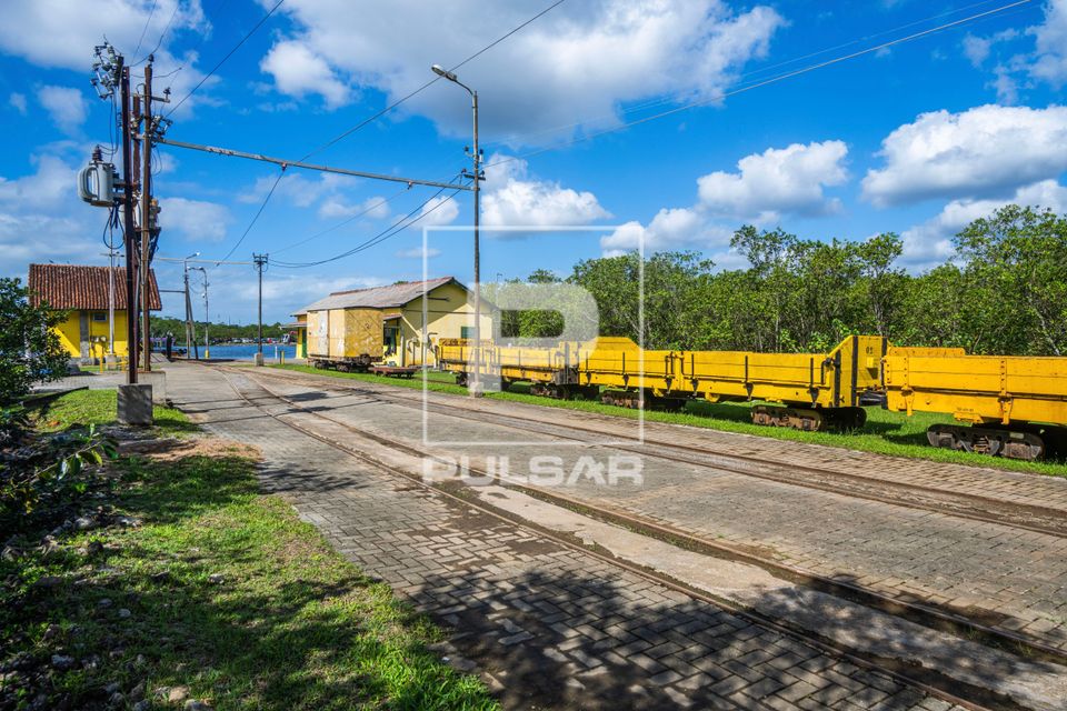 Linha ferroviária da Usina de Itatinga no Parque Estadual da Restinga de Bertioga com Serra do mar ao fundo.
