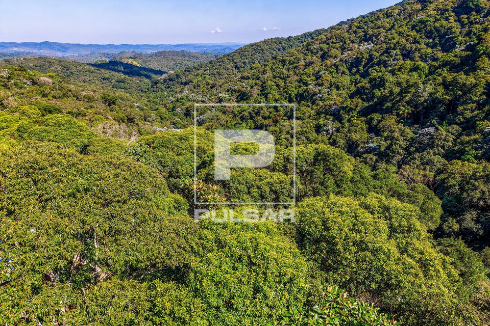 Vista de drone de residência em meio a mata atlântica preservada em região de manancial
