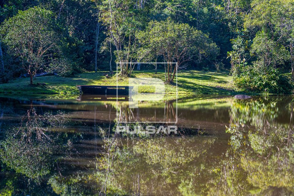Margem e vegetação refletida em lago recreativo artificial