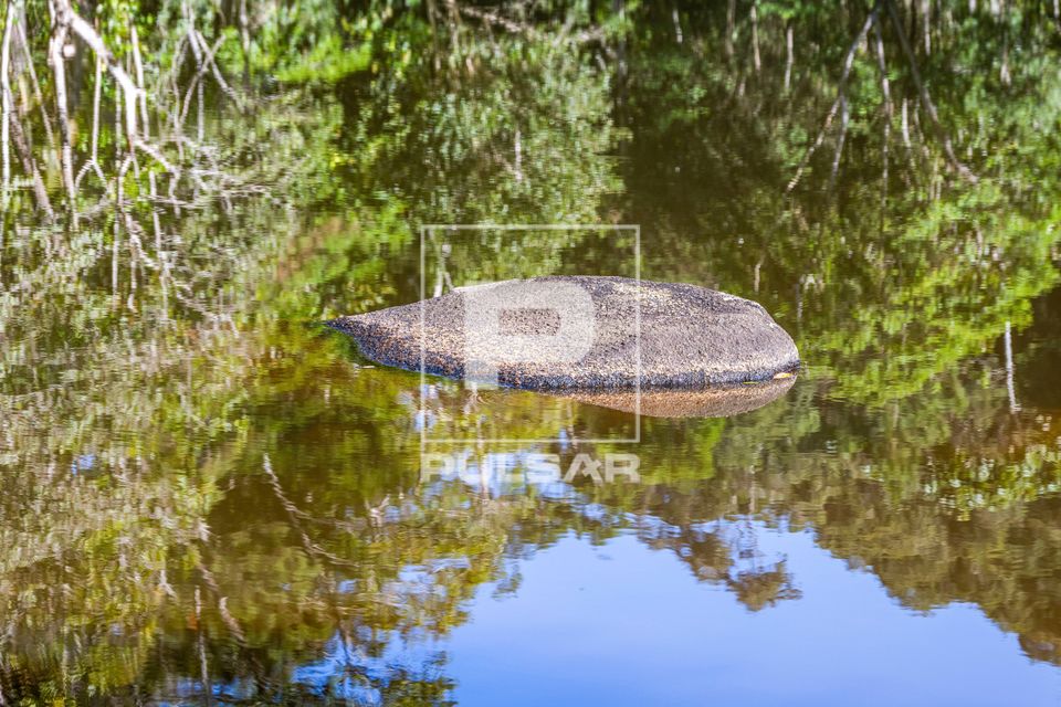 Pedra e vegetação refletida em lago recreativo artificial