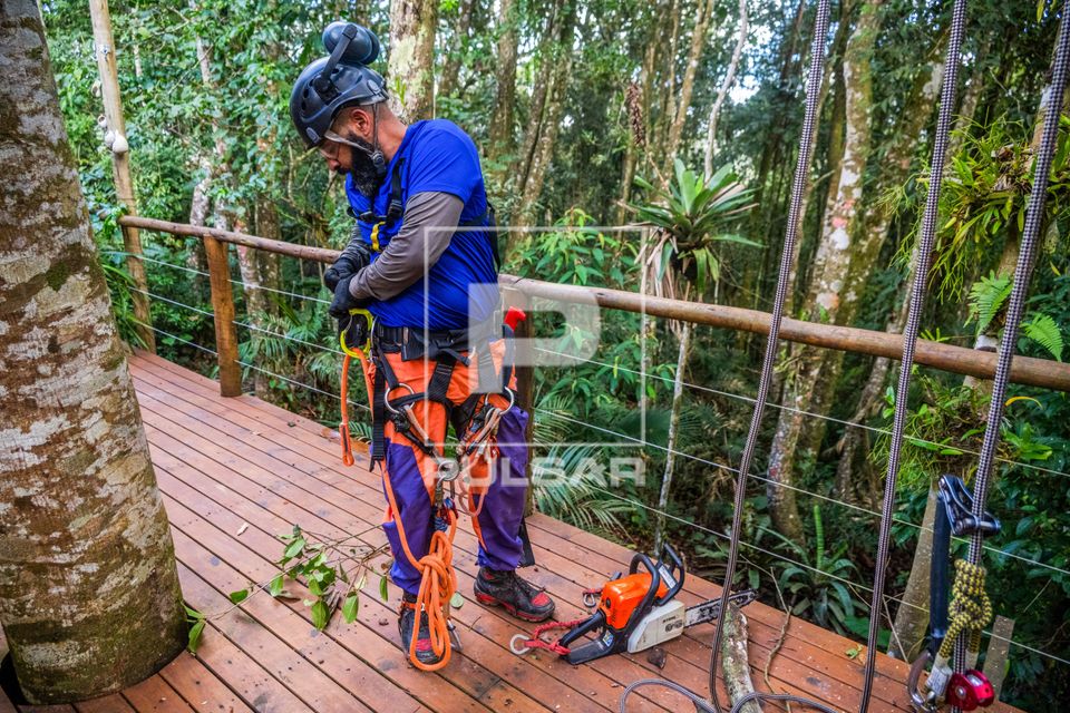 Arborista retirando equipamentos na varanda de moradia após poda de galhos de árvores