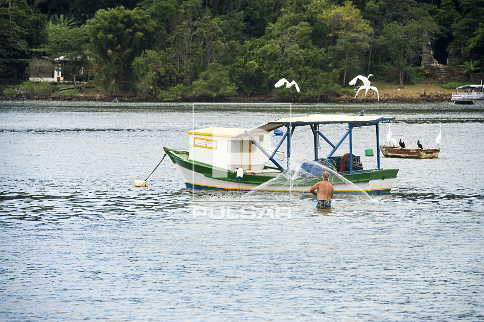 Pesca de tarrafa no Canal de Bertioga - 