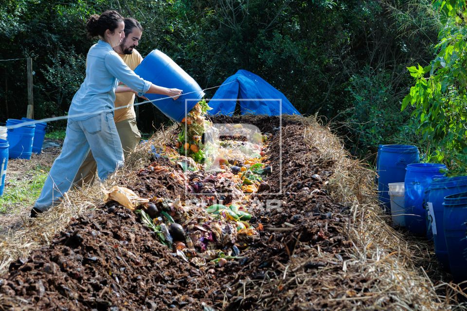 Voluntários despejam resíduos orgânicos em leira ou canteiro de compostagem