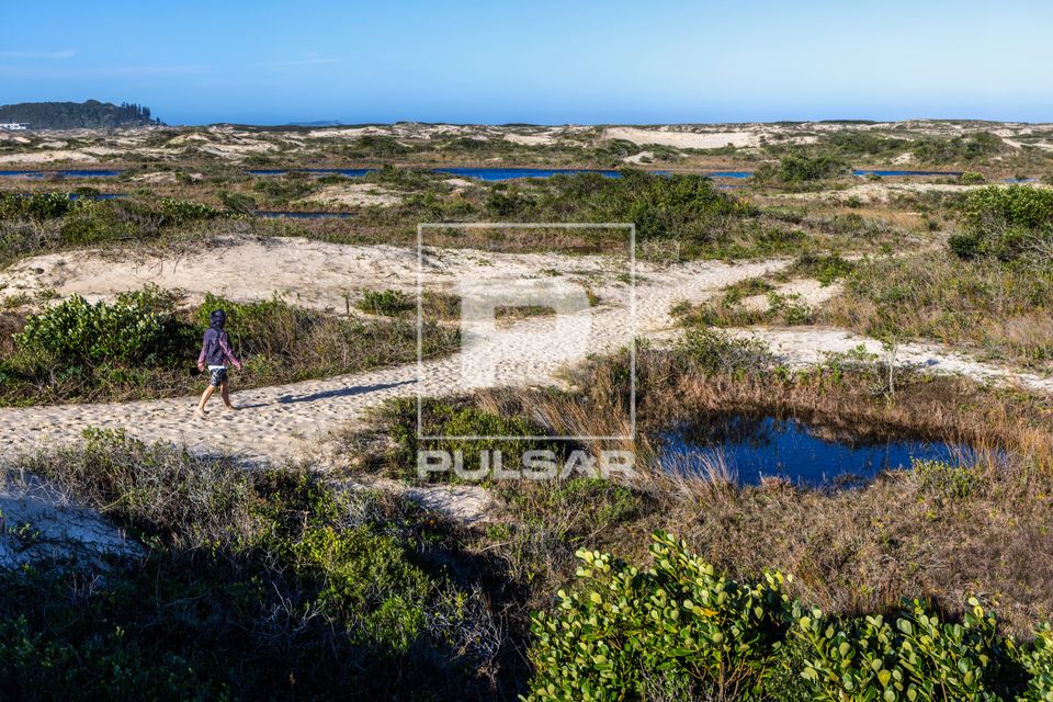 Lagoas temporárias no Parque Natural Municipal das Dunas da Lagoa da Conceição formam um ecossistema único