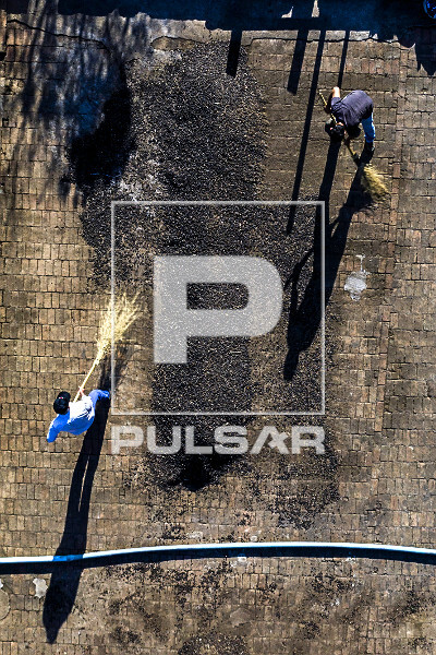 Vista de drone de trabalhadores juntando grãos de café gourmet do tipo catuaí vermelho já secos - agricult