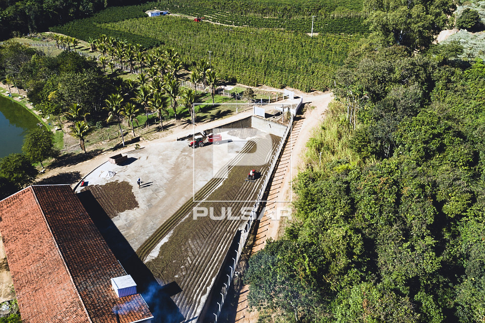 Vista de drone de terreiro com grãos de café do tipo catuaí secando ao sol e galpão para torrefação no p