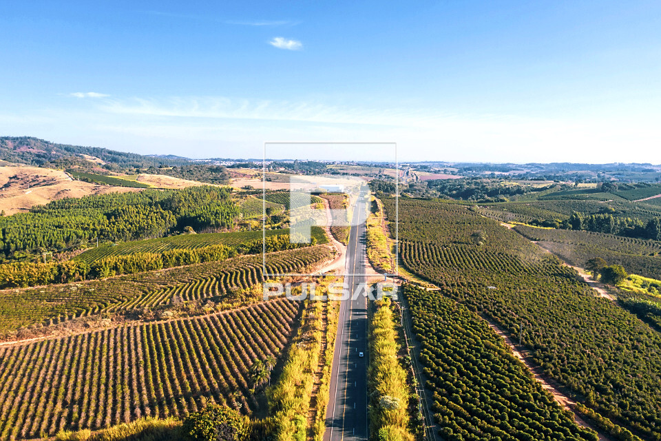 Vista de drone da rodovia SP-346 entre plantações de café - 