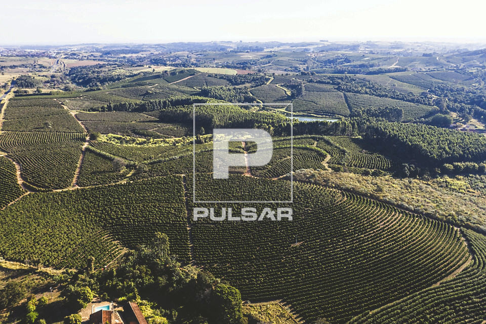 Vista de drone de propriedade rural com plantação de café do tipo catuaí - 