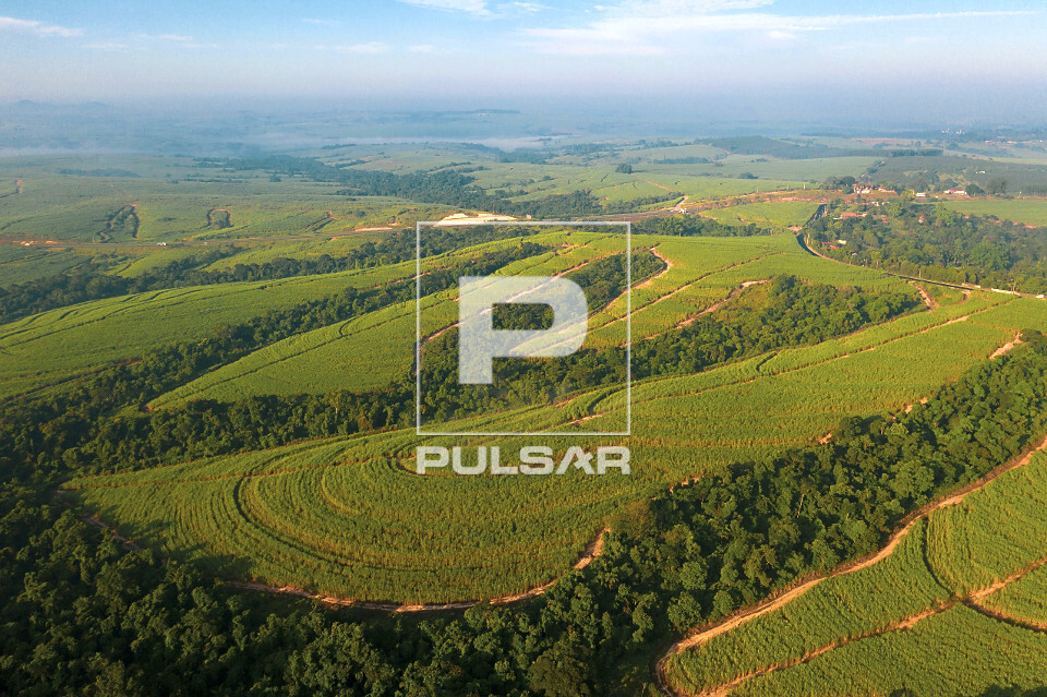 Vista de drone de plantação de cana-de-açúcar  - mata nativa preservada como reserva florestal e contenç�