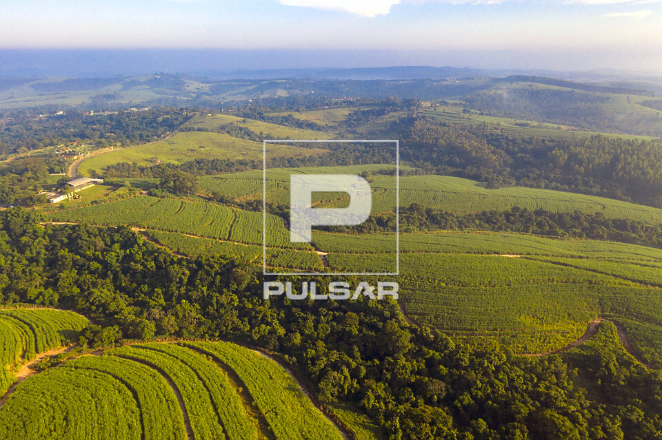 Vista de drone de plantação de cana-de-açúcar  - mata nativa preservada como reserva florestal