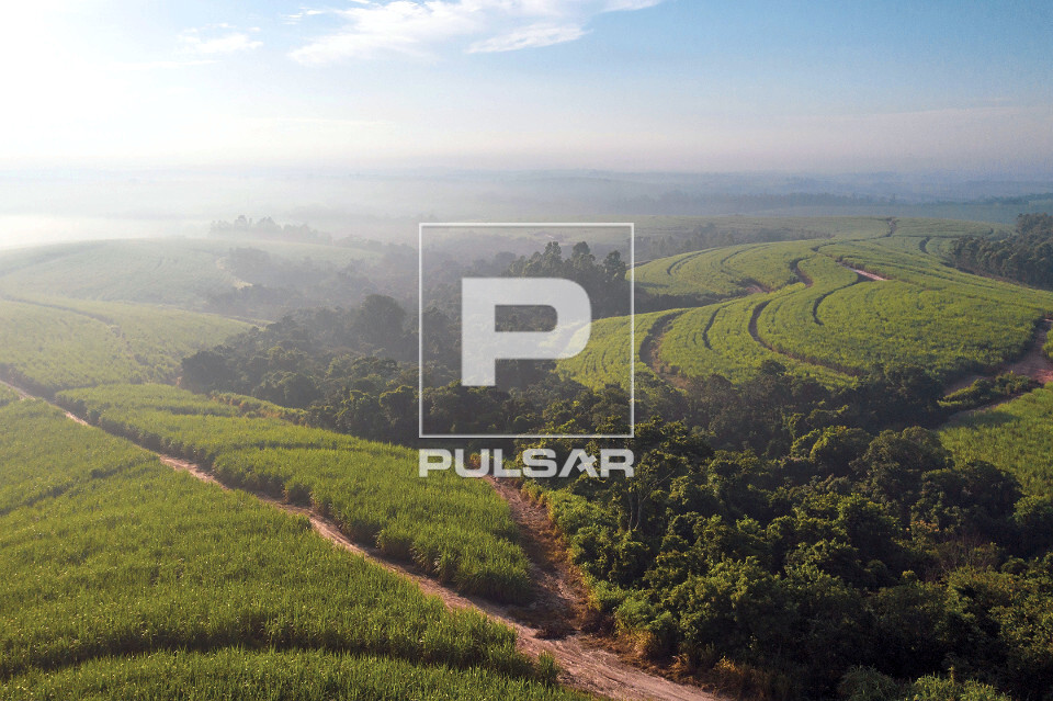 Vista de drone de plantação de cana-de-açúcar  - mata nativa preservada como reserva florestal