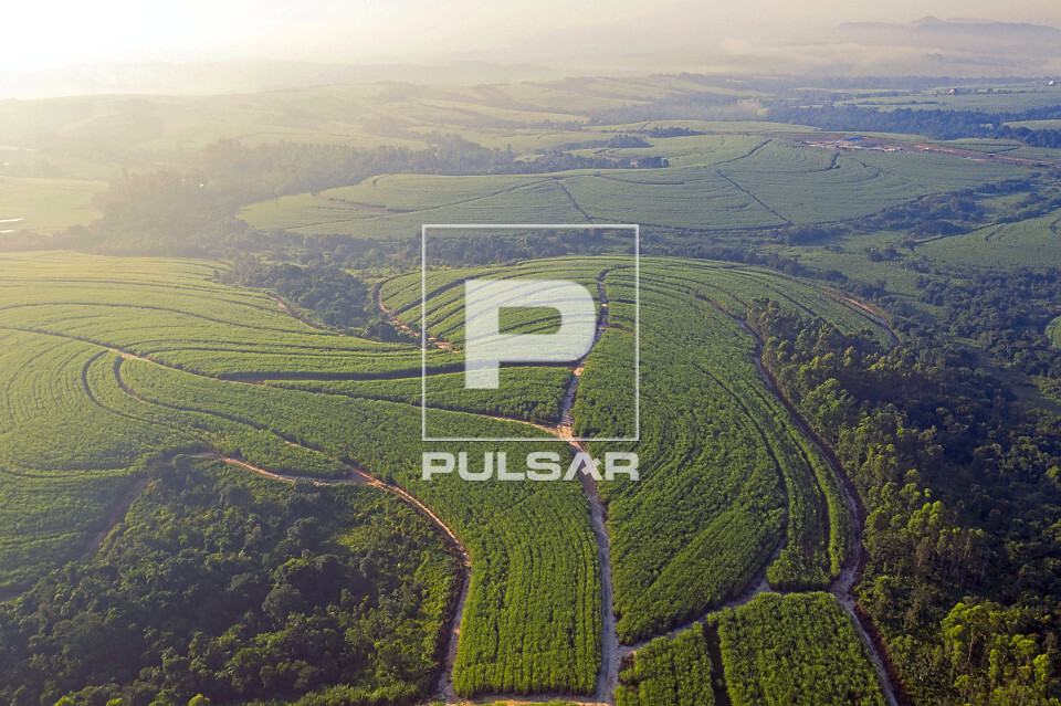 Vista de drone de plantação de cana-de-açúcar  - mata nativa preservada como reserva florestal