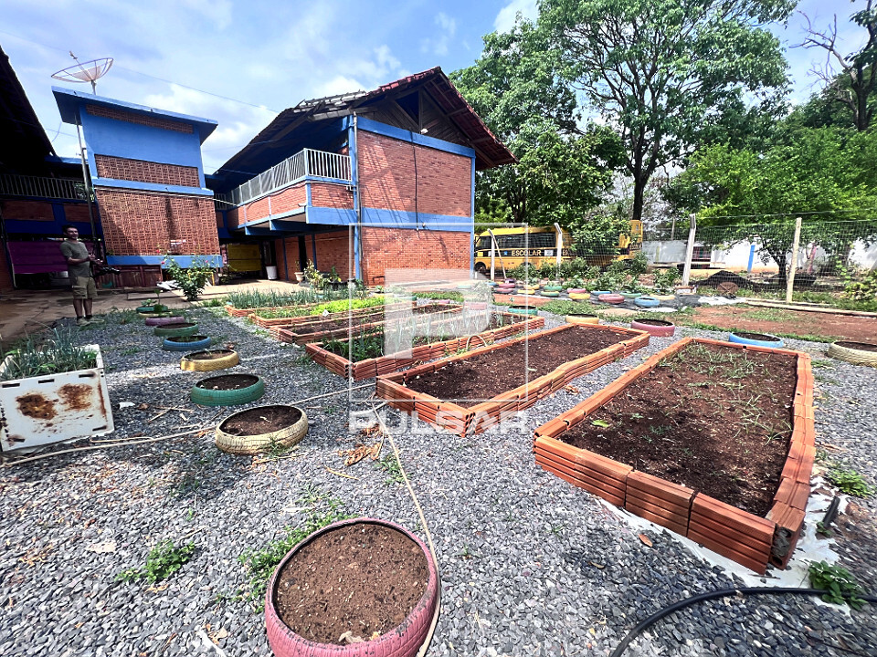 Horta comunitária da Escola Municipal João Gontijo Ferreira