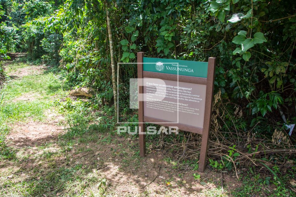Parque Estadual de Vassununga - orientações se encontrar um javaporco