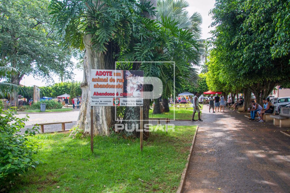 Placa de incentivo a adoção de animal abandonado na praça Zequinha de Abreu