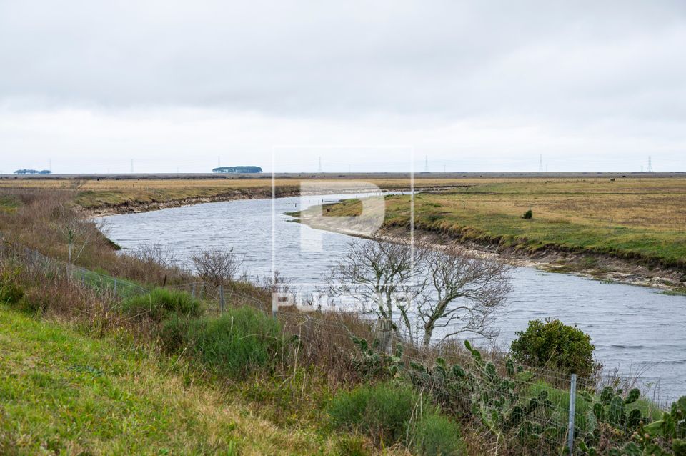 Planície alagada na Estação Ecológica do Taim
