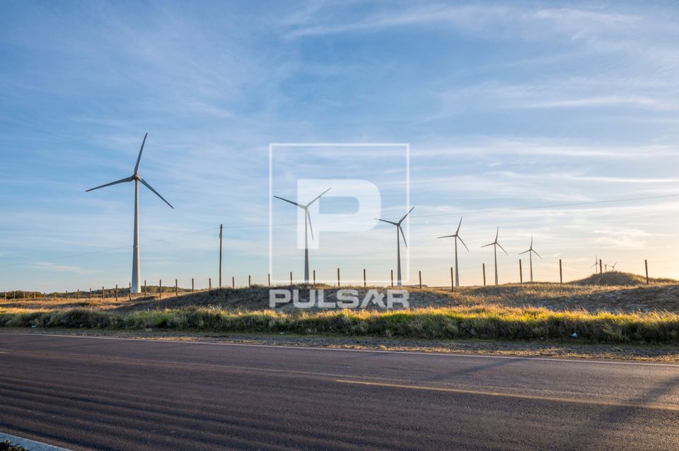 Parque Eólico na margem de rodovia
