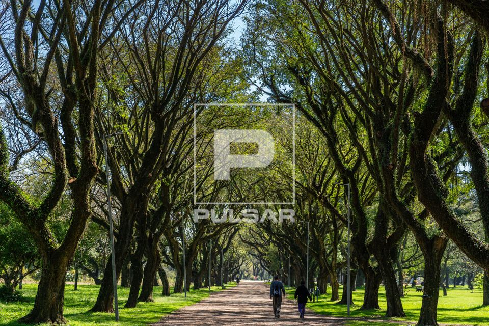 Parque Marinha do Brasil 