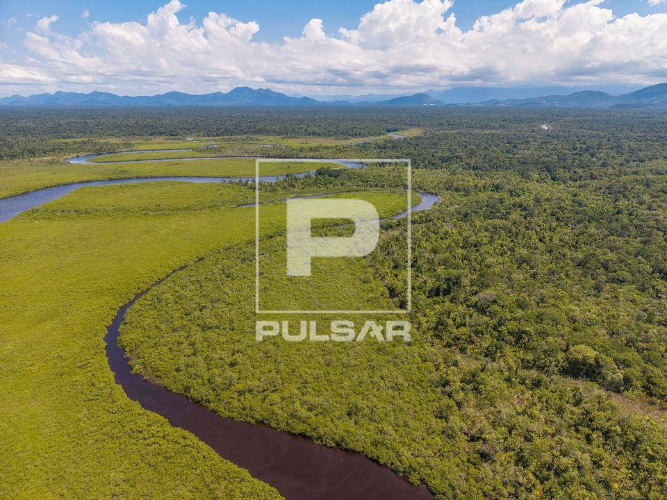 Vista de drone de manguezal entre o Rio Saí-Guaçu