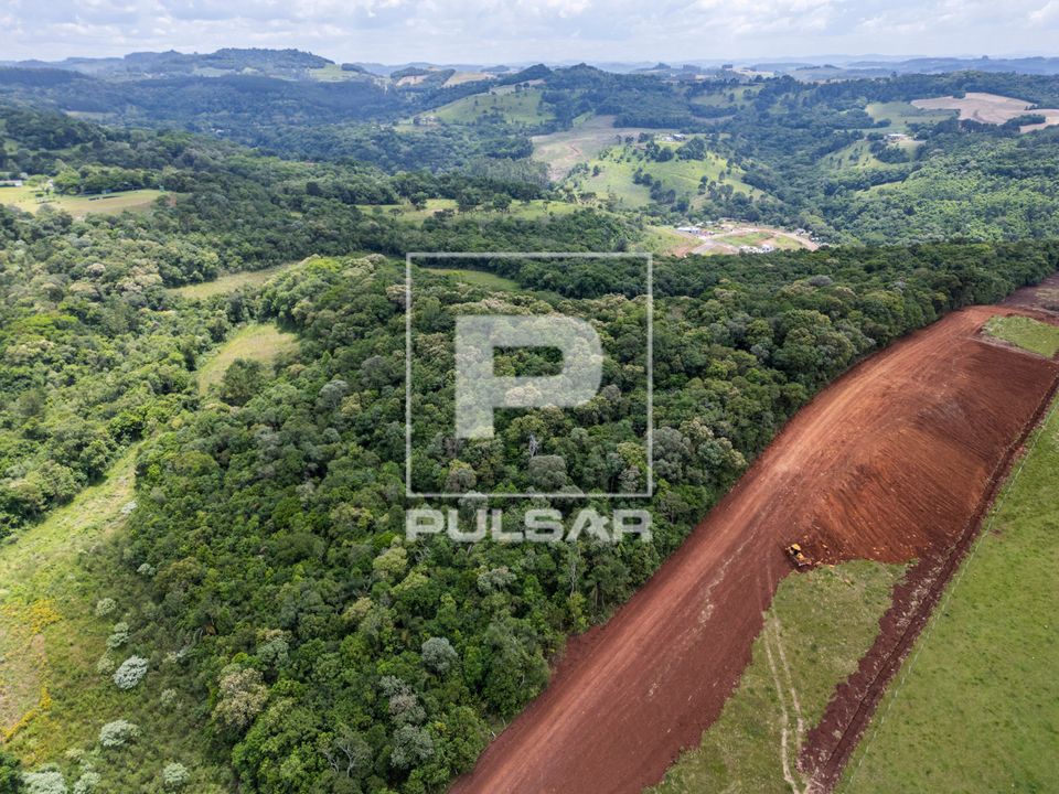 Vista de drone de floresta estacional decidual e terraplanagem em área urbana