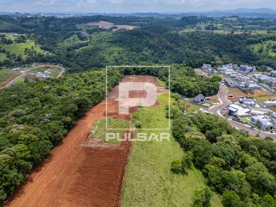 Vista de drone de floresta estacional decidual e terraplanagem em área urbana