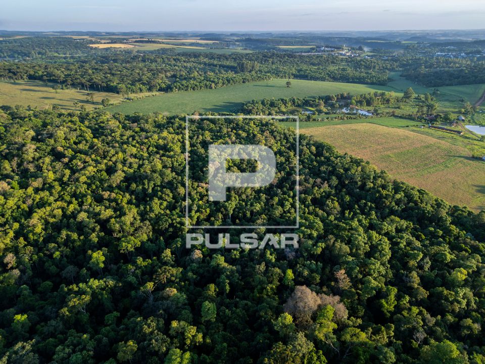 FLONA Floresta Nacional de Chapecó - floresta estacional decidual