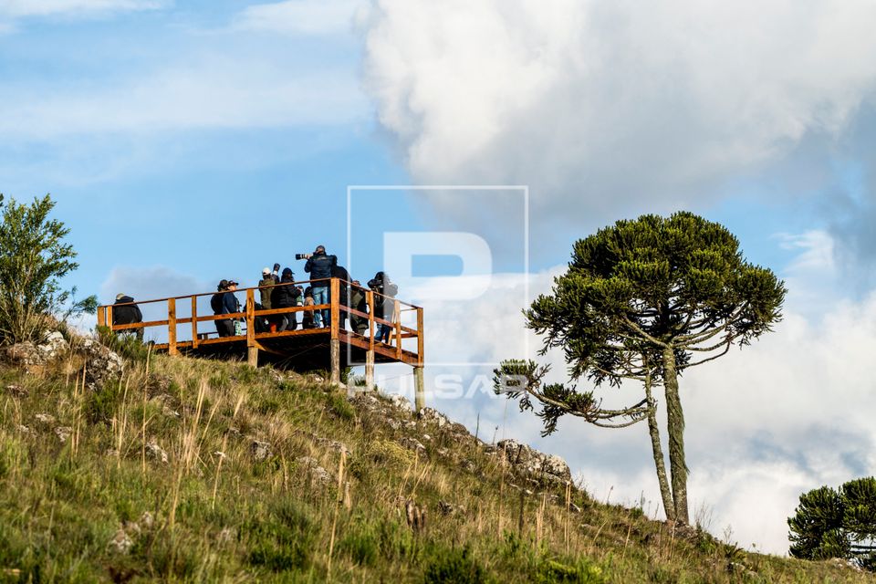 Pessoas no mirante do papagaio-charão