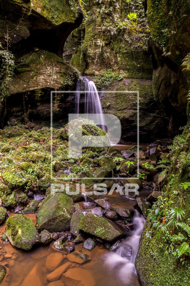 Cachoeira na mata atlântica